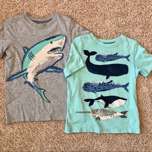 Carter's Shirts & Tops - Carter’s boys short sleeve shirt bundle, size 5 Carter's Shirts & Tops - Carter’s boys short sleeve shirt bundle, size 5